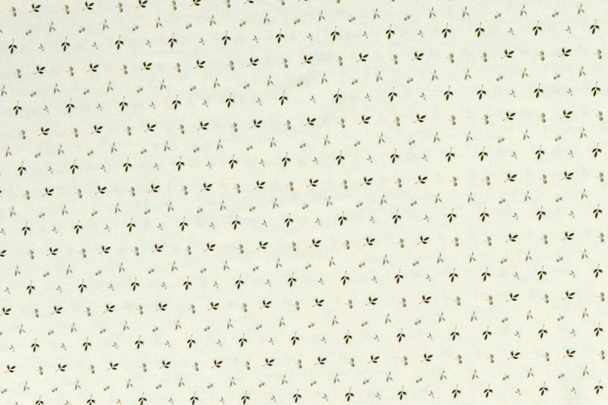 Jersey di cotone, piccole foglie verdi su fondo bianco