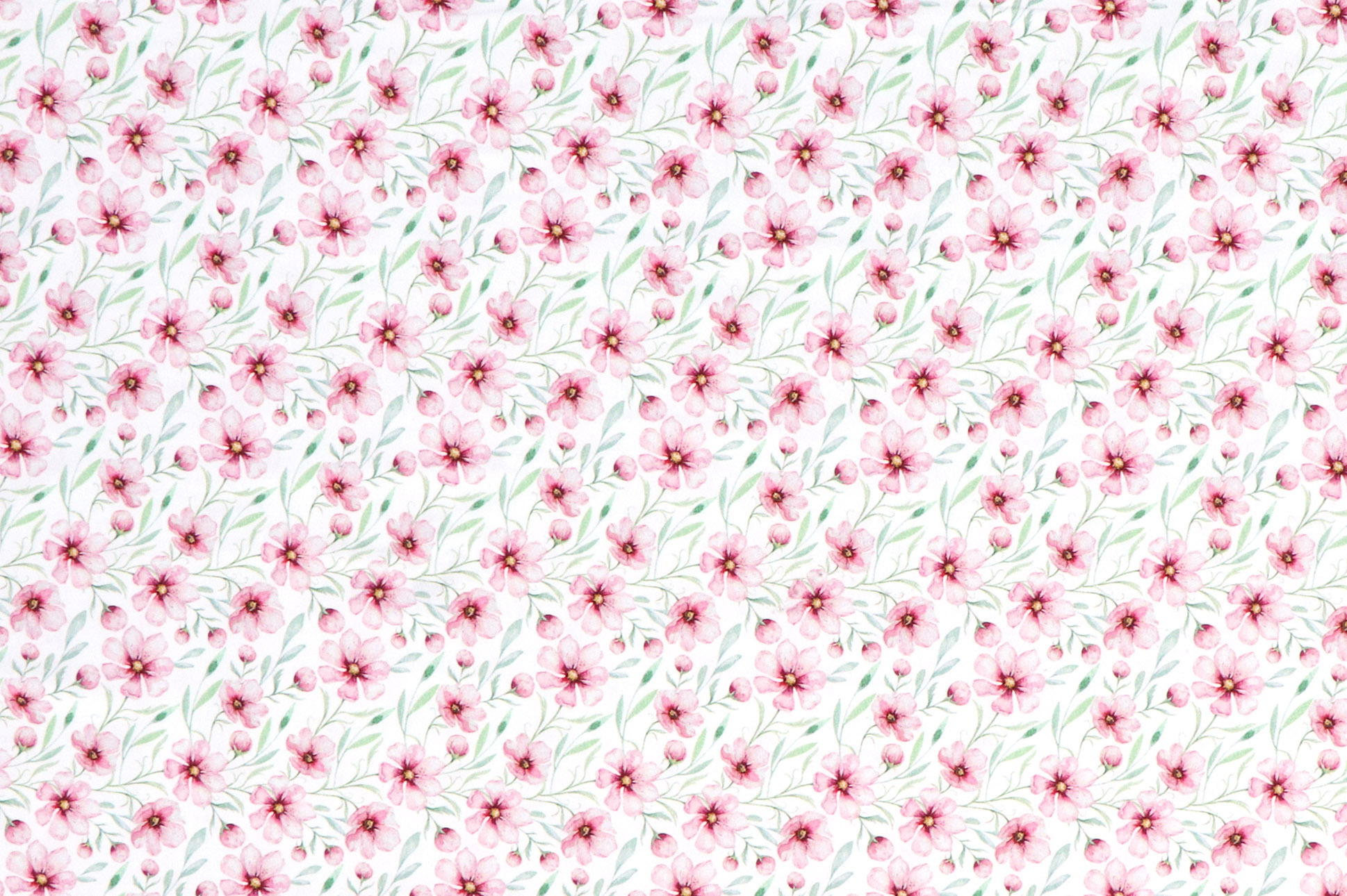 Jersey di cotone, fiori di ciliegio su fondo bianco