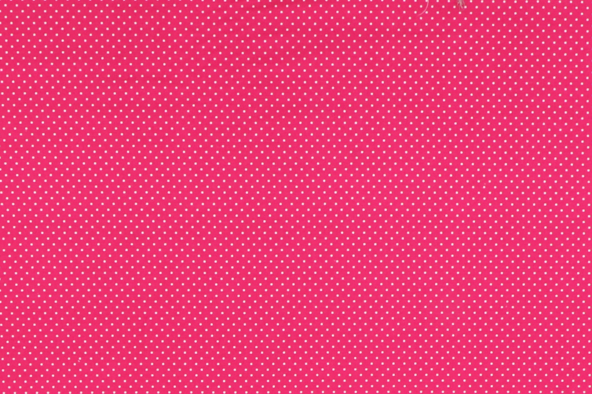 Popeline di cotone, pink con puntini