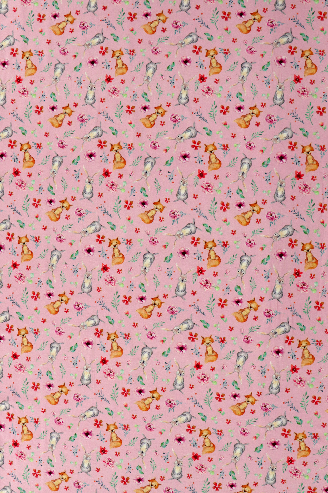 French Terry, volpi e conigli su fondo rosa