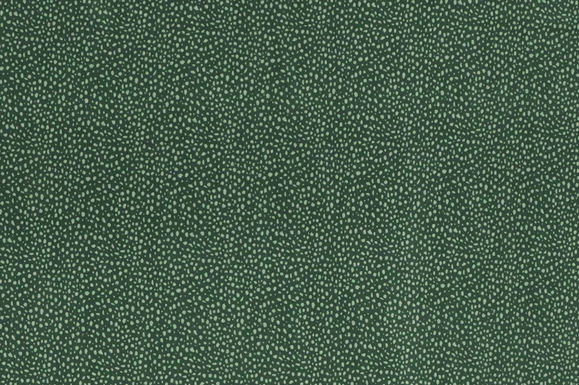 Jersey di cotone, macchie chiare su verde