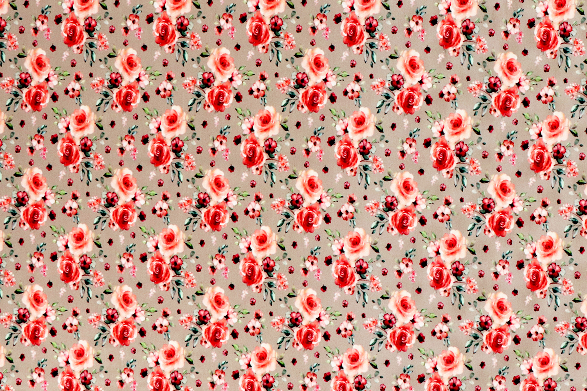 Jersey di cotone, rose su fondo sabbia