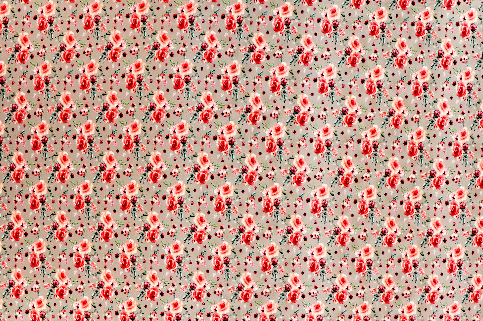 Jersey di cotone, rose su fondo sabbia