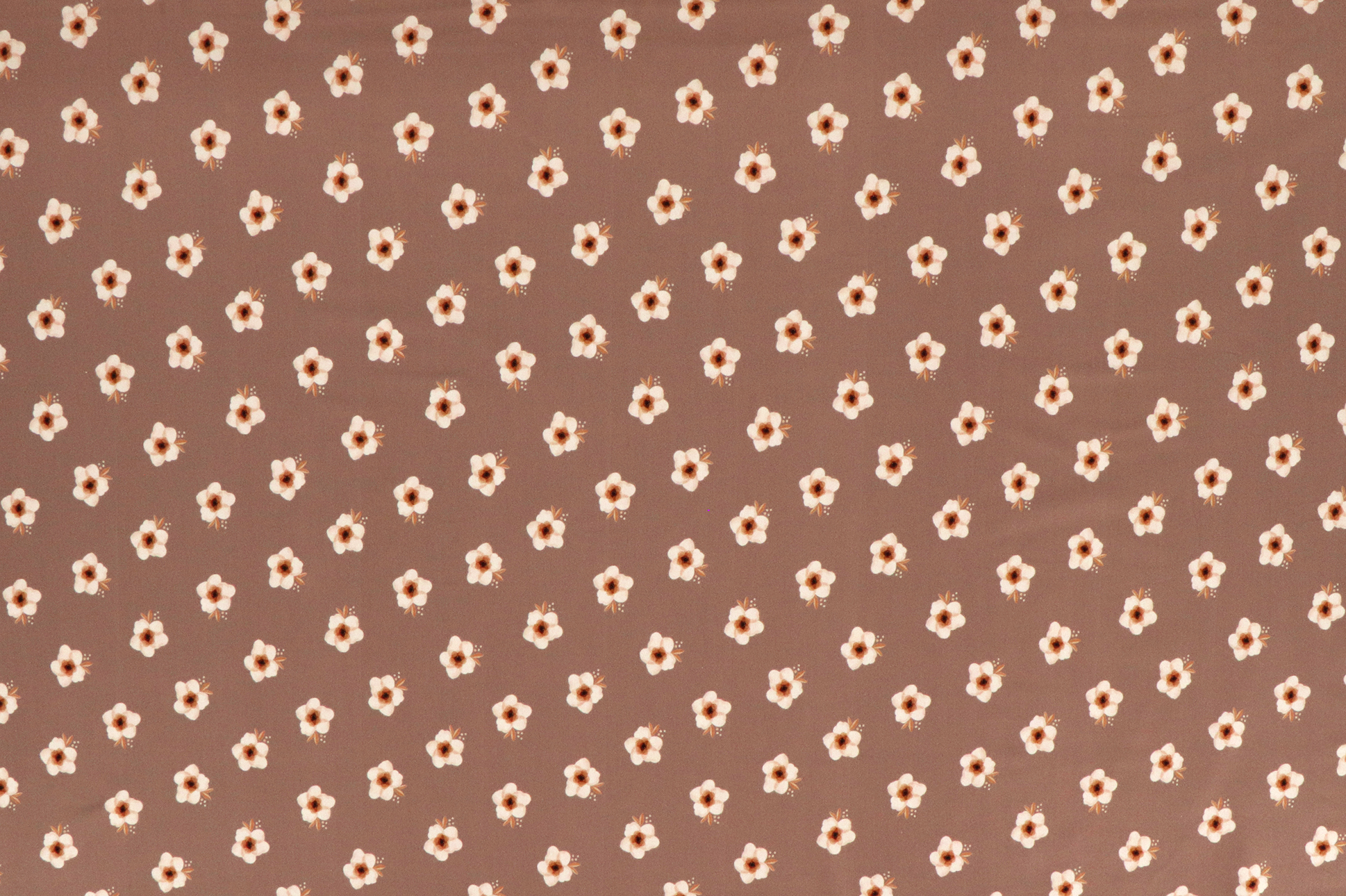 Jersey di cotone, Fiori su fondo color taupe