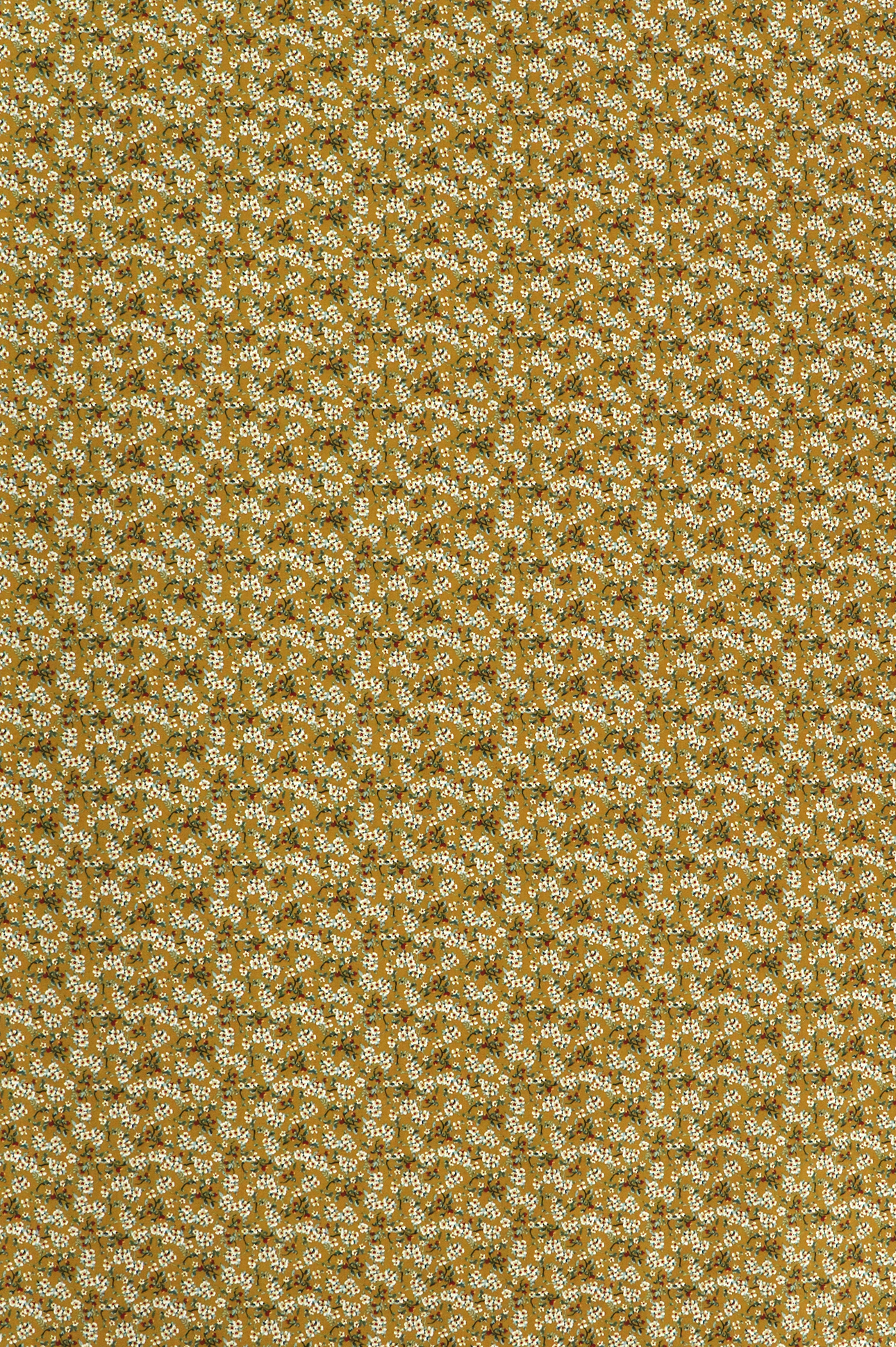 Popeline di cotone, motivo floreale su fondo senape