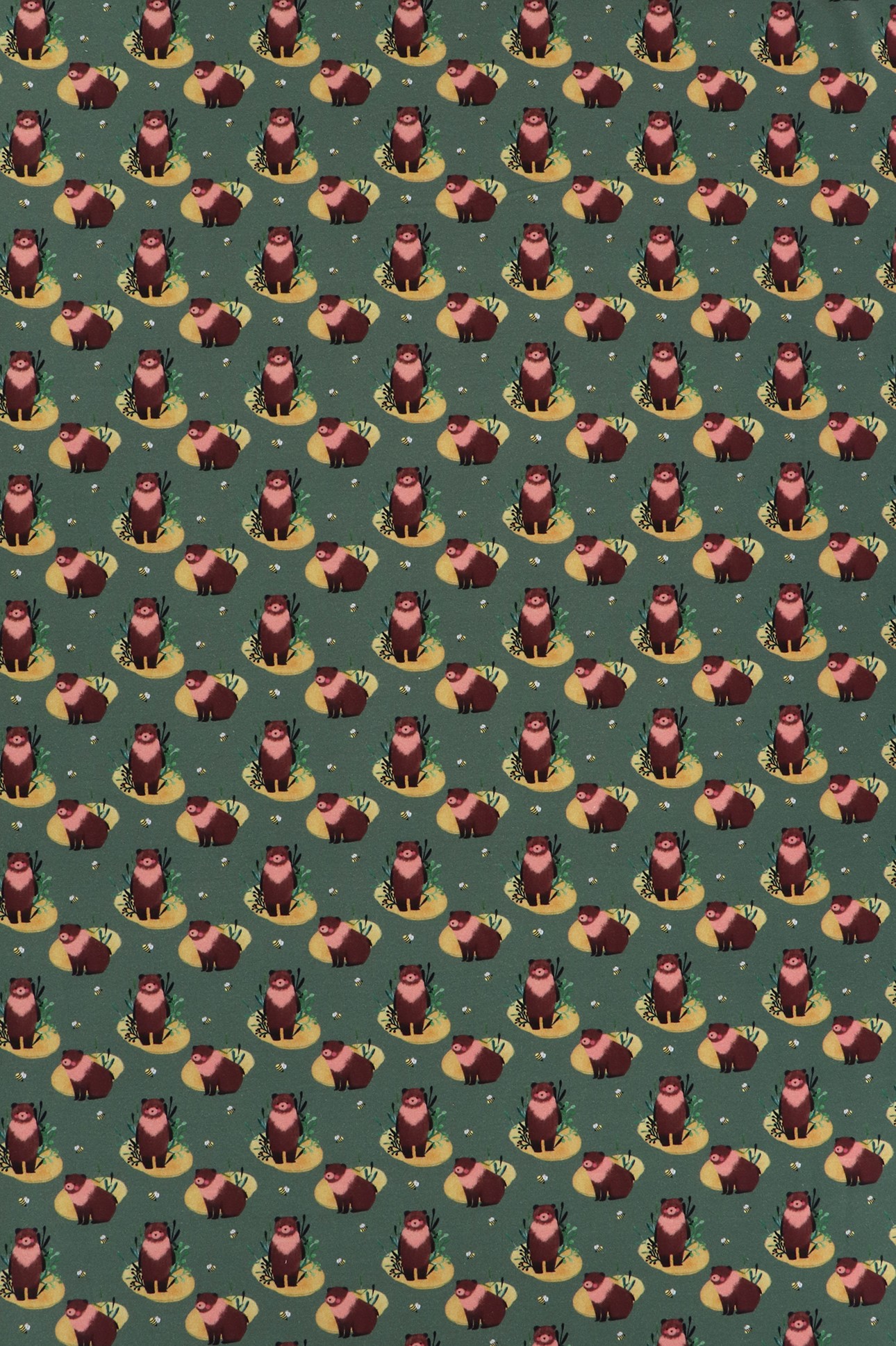 Jersey di cotone, orsetti su fondo verde salvia