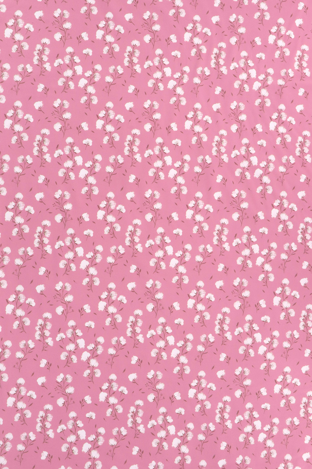Softshell, fiori di cotone su fondo rosa