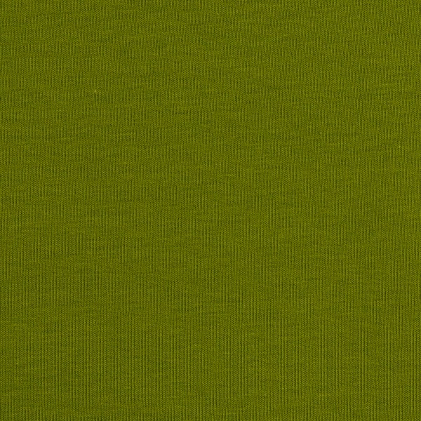 Jersey tinta unita, Vanessa verde olivastro