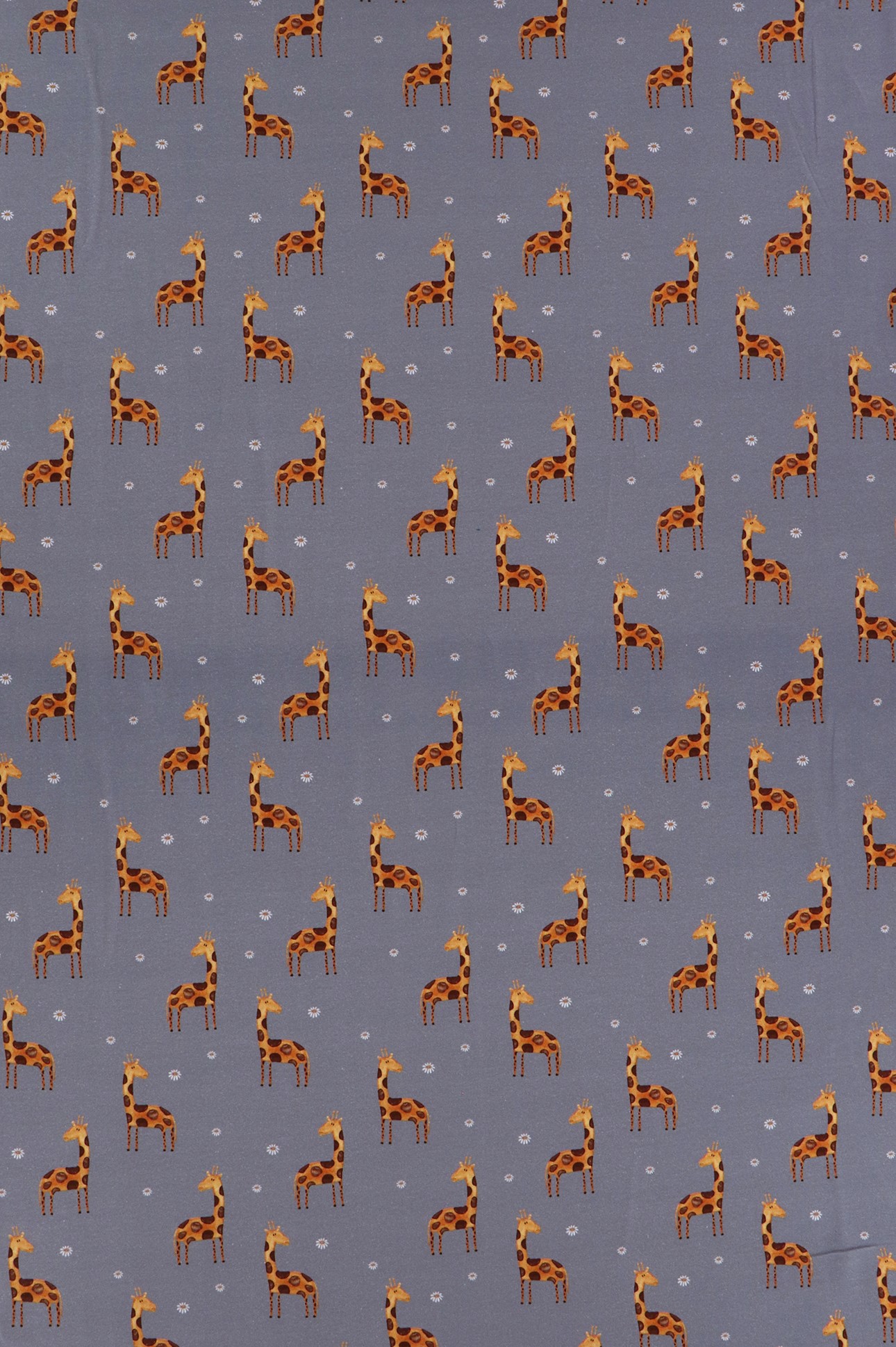 Jersey di cotone, giraffa su fondo grigio bluastro