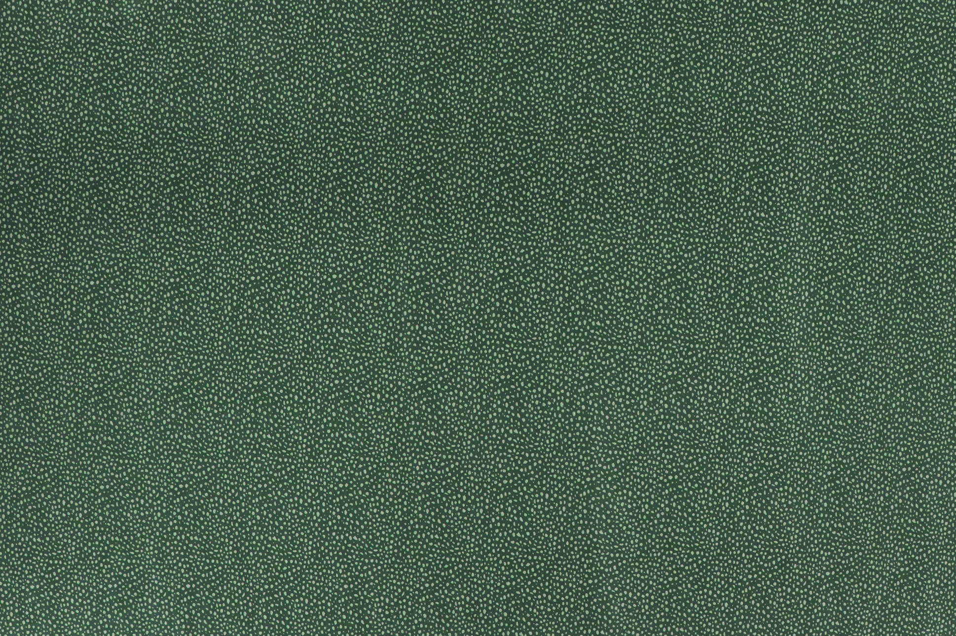 Jersey di cotone, macchie chiare su verde