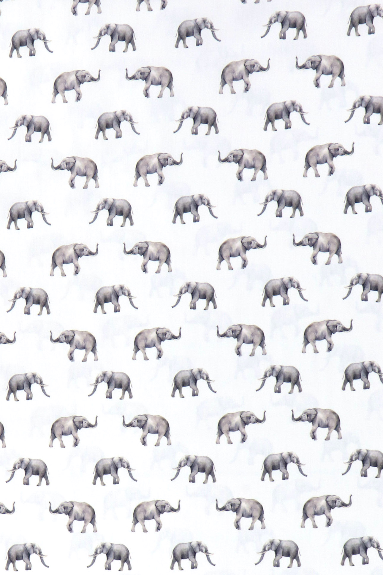 Popeline di cotone, elefanti su fondo bianco