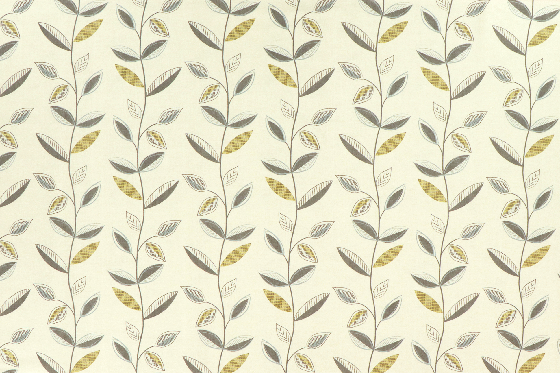 Canvas, ramo con foglie verdi su fondo beige