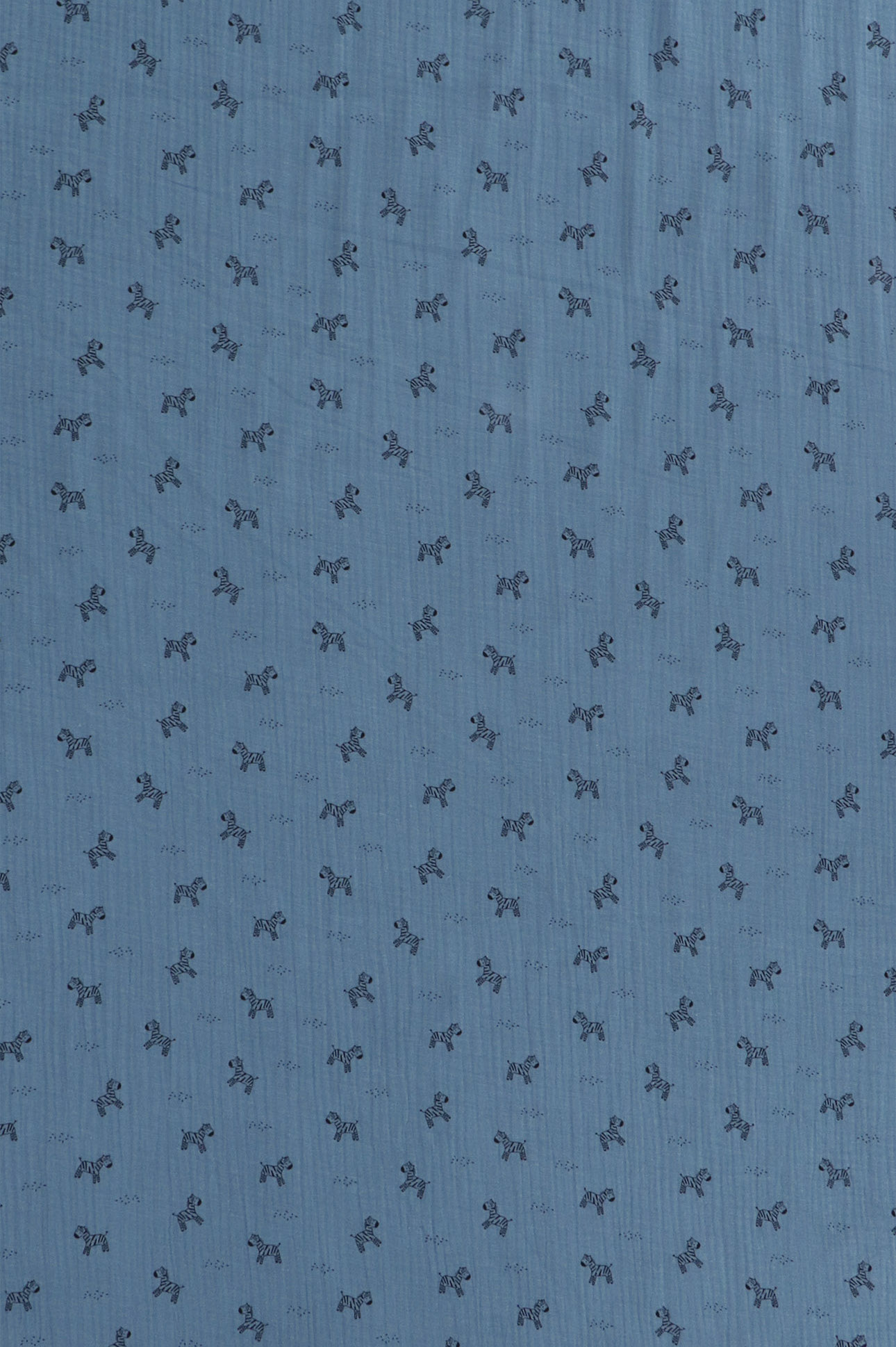 Mussola, zebre su fondo blu grigio